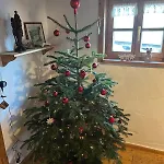 Apartamento // Waldlerhaus - Bayern - Bayerischer Wald *