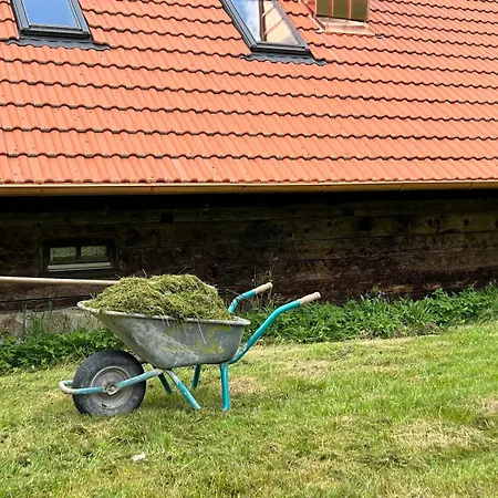 Appartement // Waldlerhaus - Bayern - Bayerischer Wald Windberg