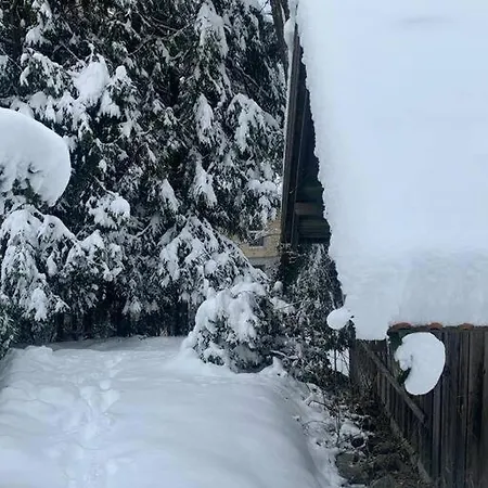Apartment // Waldlerhaus - Bayern - Bayerischer Wald Windberg